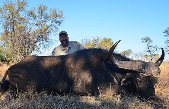 A successful Cape buffalo hunt in South Africa.