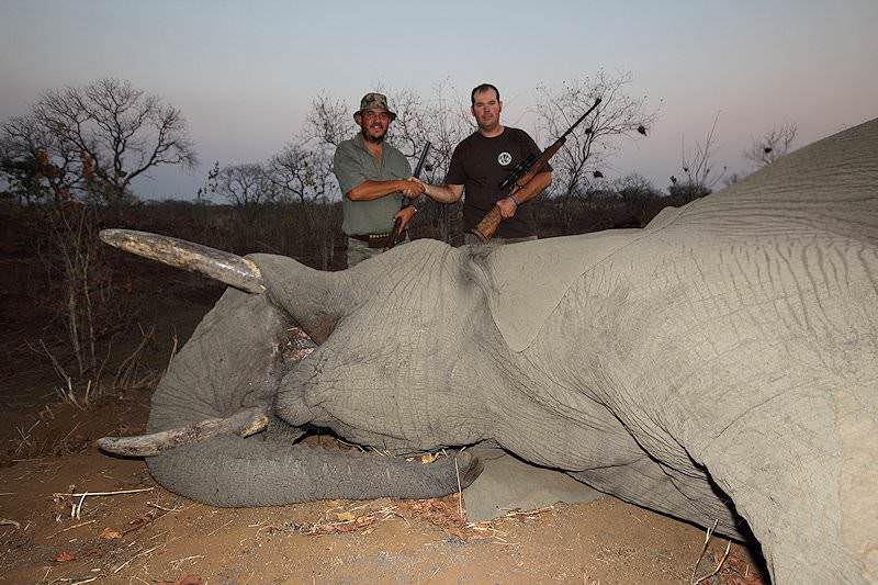 Trophy Hunting the Elephant in South Africa - ASH Adventures